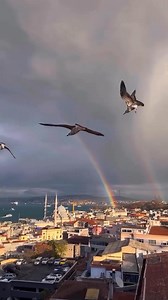 36K views · 1.1K reactions | Duge iznad Istanbula  | Serije i sve lepote Turske | Facebook