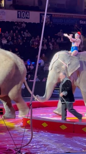 144K views · 1.4K reactions | A circus moment like no other  Two girls riding elephants in perfect harmony ✨ #EnchanterDancer | EnchanterDancer | Facebook