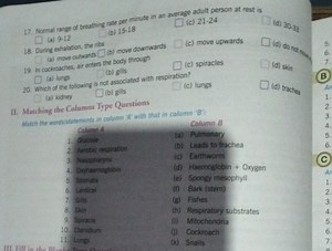 Normal range of breathing rate per minute in an average adult p... | Filo