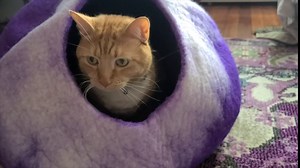 Wool Cat Cave Bed - Large Felt Cat Cave for Cats and Kittens - Felted from 100% Natural Wool - Premium and Personal Space for Your Indoor Cats (Emerald, Green/Blue)
