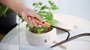 250mm Horticultural Weeding Hook, Single Claw Root Tool for Garden Bonsai Digging, Manual Weeder Hand Tool