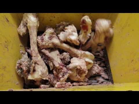 Cattle bone shredder
