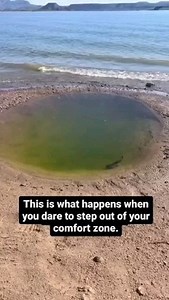 Fun fact..😎 | BONFIRE ADVENTURES AND EVENTS