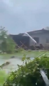 BUHAWI NAGTUHAW KAG NANGDALASA SA PITO KA MGA BARANGAY SA STA. MARIA, ILOCOS SUR SA TUNGA SANG PAGWASWAS SANG BAGYO NANDO BY: LHEY ANN ALAYON | September 22, 2025 Video courtesy: RP Laoag Base sa report sang Sta. Maria MDRRMO, nagsugod ang buhawi sa Barangay Nagsayaoan kag nangdalasa sa mga kaiping nga barangay lakip ang Nagtupacan, Maynganay Norte, Maynganay Sur, Tinaan, Babalasioan, kag Cabaroan. Lakip sa ginbilin nga kahalitan sang buhawi ang masunod: • Barangay Nagsayaoan- (8 ) totally damag