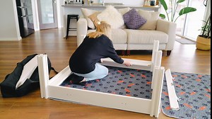 Dingo-XL Whelping Box for Dogs | 94” x 48” (Dual Zone) | 2 Free Washable Pee Pads + 2 Free Storage Bags | DingoSafe Rail System | Whelping Supplies (Dingo Paw Pee Pad) (2 Room)