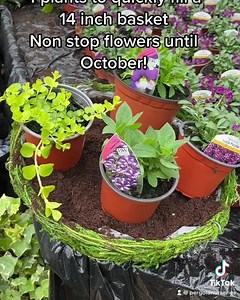 1.5K views · 45 reactions | Hanging Basket Combo to Flower Non stop...