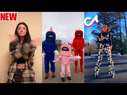 Cut the Check Bust it Down - TIKTOK COMPILATION