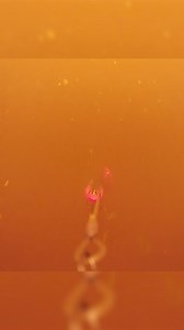 6.7K views · 93 reactions | Check out this crazy double take that @realfishingde managed to capture with our Escape Cam and the new BullTeez CT Inline It seems like this pike knew exactly where (not) to strike. What do you think - Has it been caught before?類 Follow @westin_cam for more updates on the worlds smallest underwater fishing camera | Westin-Fishing | Facebook