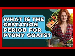 What Is The Gestation Period For Pygmy Goats? - The World of Agriculture