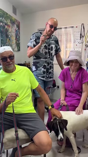 THANK YOU Canicross Malta For giving our Homeless dogs🐕 A chance to SHINE 💛🙌 @fabiospiteri | MSPCA