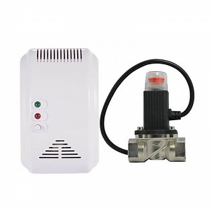 [Hot Item] China Manufacturer Home LPG Gas Sensor Alarm Leak Detector