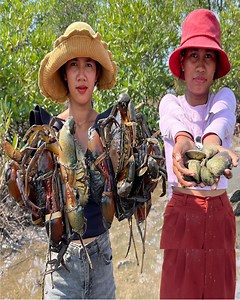 Caught Many Huge Mud Crabs and Sea Clams in Swamp After Water Low Tide #MudCrabCatch #HugeMudCrabs #SeaClams #SwampFishing | Nit Lifestyle