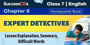 Expert Detectives Summary, Explanation, Word Meanings Class 7