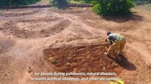 The #Covid19 pandemic has exposed the fragility of our #FoodSystems, exacerbating stresses such as #ClimateChange, disasters, and economic shocks. But TOGETHER we can make a difference 🌎 🌍 🌏 | UN Geneva