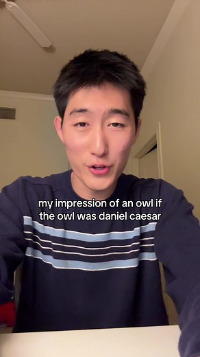 #fyp #cringe #niche #owl | Daniel Caesar