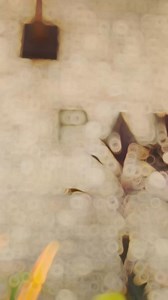 🌞 Summer in Palawan, the Panja Way! 🌿🌊 Where the sky kisses the horizon and nature embraces luxury – welcome to Panja Resort Palawan! ✨🏝️ 🌄 Perched atop a scenic hill, Panja Resort lets you soak in endless summer views of lush greens and rolling blue skies. Imagine waking up to the perfect sunrise, lounging by the pool, and breathing in the fresh island air. 🌿☀️ 🏡 Stay in comfort & elegance with our spacious, luxurious rooms that offer panoramic nature views – the perfect retreat for your