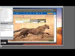 Webinar - SAP Screen Personas