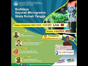 Budidaya Sayuran Microgreens Skala Rumah Tangga