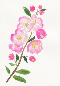 Apple Blossom Stem Hand Painted Watercolor Painting 9x12, Original Wall Art for Home Decor, Bright Pink Nursery Wall Art - Etsy