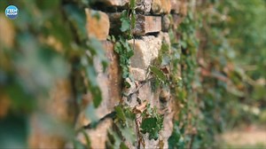 2.1K views · 140 reactions | PARK SANDARA X KANG SEUNGYOON - 'PYGMALION' FASHION FILM Behind The Scenes | Teen Scoop | Facebook