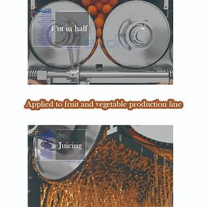 [Hot Item] Factory Customized integrated design industrial juicer machine
