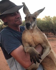 Happy World Wildlife Day! We are proud of all our fellow wildlife rescuers and carers who make our world a better place 💕 | The Kangaroo Sanctuary Alice Springs