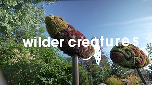 154 reactions · 18 shares | We’re so excited about WildScapes, we just wet our plants! Don’t miss this epic summer experience. | The Calgary Zoo | Facebook