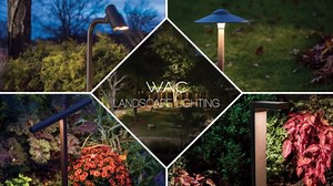 WAC Landscape Lighting, Interpath LED 12V Cone Path and Area Light 2700K Warm Built-in LED in Black