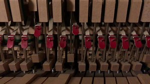 Damien Rice on Reels