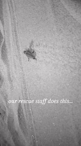 22 reactions | What are you passionate about?  Today we celebrate...