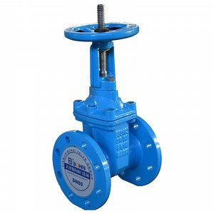 [Hot Item] Industry Gate Valve with Rising Resilient Seat