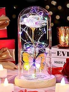 DEEMEI Birthday Gifts for Women Mothers Day Flower Gifts for Mom Colorful Rose Eternal Flower Light Up Rose in Glass Dome with Butterfly, Thanksgiving for Mothers Grandma Girlfriend Wife
