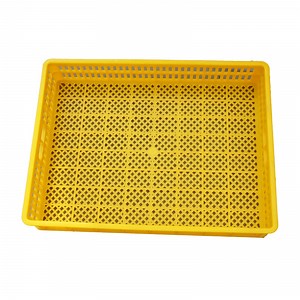 [Hot Item] Poultry Incubator Basket Chicken Hatcher Hatching Basket