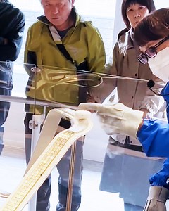 Cool scientific discovery that will inspire future technology 🚗 | UNILAD