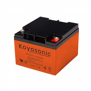 [Hot Item] 5-Year Warranty 12V 33ah Battery Deep Cycle 24V Deep Cycle Battery