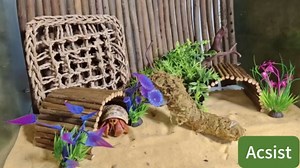 Hermit Crab Accessories, Hermit Crab Climbing Toys,Flexible Moss Pole with Coconut Shell Hideout Hut Reptile Hammock,Reptile Tank Accessories for Lizard Gecko Snake