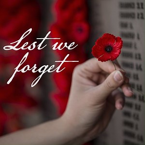 11K views · 713 reactions | At 11am on the 11th of November 1918, the guns on the Western Front fell silent after more than four years of continuous warfare. Today we pause and remember. #LestWeForget #RemembranceDay | ADF Careers | Facebook
