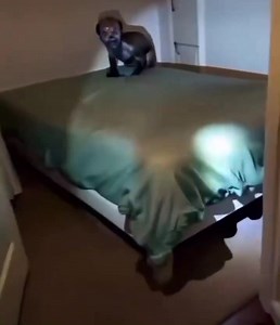 975K views · 2.4K reactions | ይሄ ነገር ምንድን ነው | Ethio 724 | Facebook