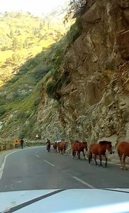 NH44 Road Vibes #Nh44#roadtrip#travel#viralpost2025シ2025シreelsfacebookシ | Travel With Salman