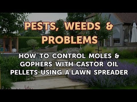How to Control Moles & Gophers With Castor Oil Pellets Using a Lawn Spreader