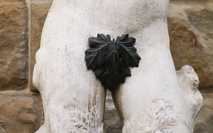 Endlich Eunuch: Wenn Männer sich Penis und Hoden amputieren lassen
