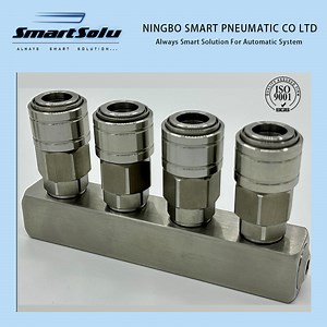 [Hot Item] Stainless Steel Pneumatic Pipe Fitting Air Hose Quick Coupling Release Quick Locking Plug