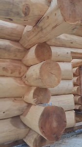 Taiga Log Homes on Reels