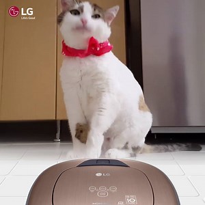 The LG Hom-bot’s HomeGuard feature captures 5 photos when it senses movements, and sends them to your mobile phone. Now you can go about your day with a peace of mind! http://spr.ly/6183D5ldz | LG Global