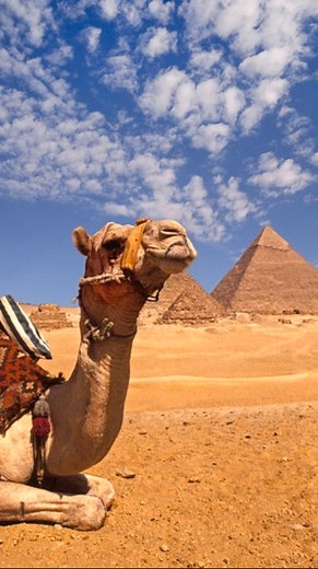 24K views · 153 reactions | Rixos Hotels  an authentic oasis among the desert ️ It's a pleasure to have a residence here.. #DiegoMiranda #top100djs #Egypt #sharmelsheikh  @ruben alencastre | Diego Miranda | Facebook