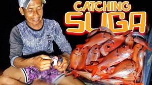 46K views · 2.1K reactions | Catching Suga | Harabas | Harabas | Facebook