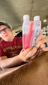 Already on the road to recovery! Managing fever and pain in cattle is important not only from a production standpoint but is also essential to animal welfare. BANAMINE® TRANSDERMAL (flunixin transdermal solution) as a pour on vs administering via IV is so simple! Remember to protect your skin and eyes when administering the product; don't worry, Ted washed his hands! #MAHbrandpartner Merck Animal Health Cattle | Megan DairyGirl