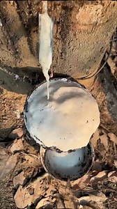 Top 3 Sigma rules 💀 . . #motivational #motivate #inspriation #inspirational #motivationalquotes #successtation #successquotes #successmindset #success #viral #positivity #reelsinsta #reelsviral #reelkarofeelkaro #reelsvideo #reelitfeelit #entrepreneur #dream #mindcontrol #wish #insperationalquotes #inspretiondaily #dailyquotes #dailymotivation #daily #positivequotes #hindiquotes #sigmarules | Jingle Stories