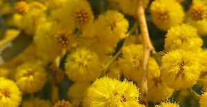 Video by Natasha Filippovskaya on Pexels