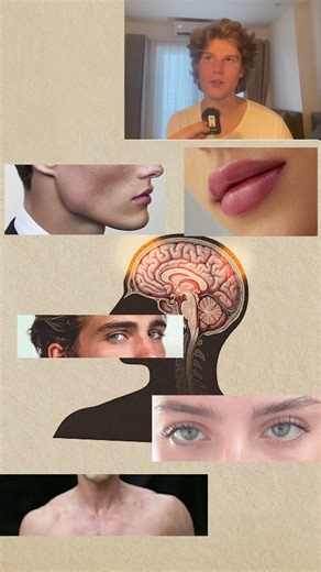 What Actually Attracts vs What Amplifies It